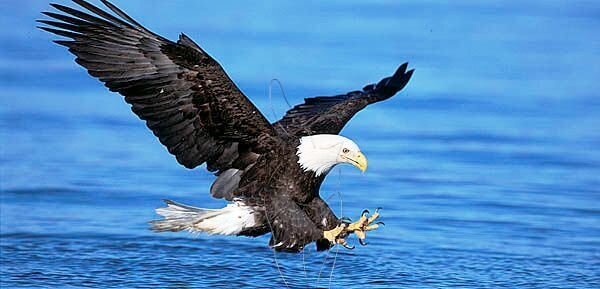 Abstellhallen, Werkstätten, Freiflächen Abstellhallen, Werkstätten, Freiflächen